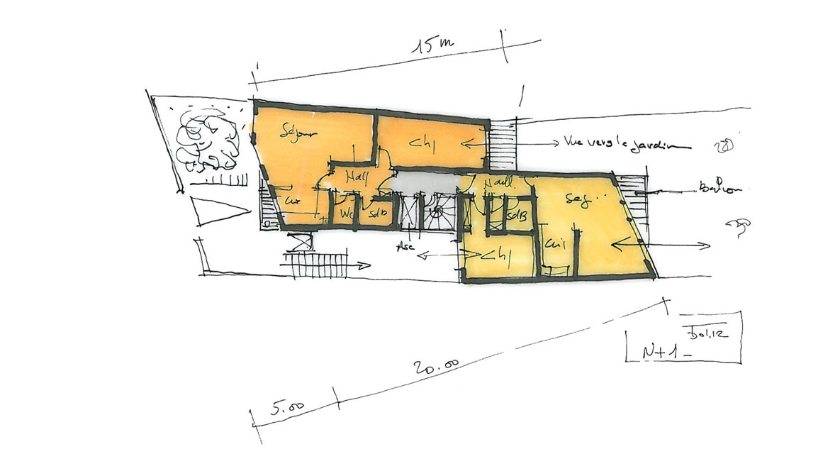 plan d’étude